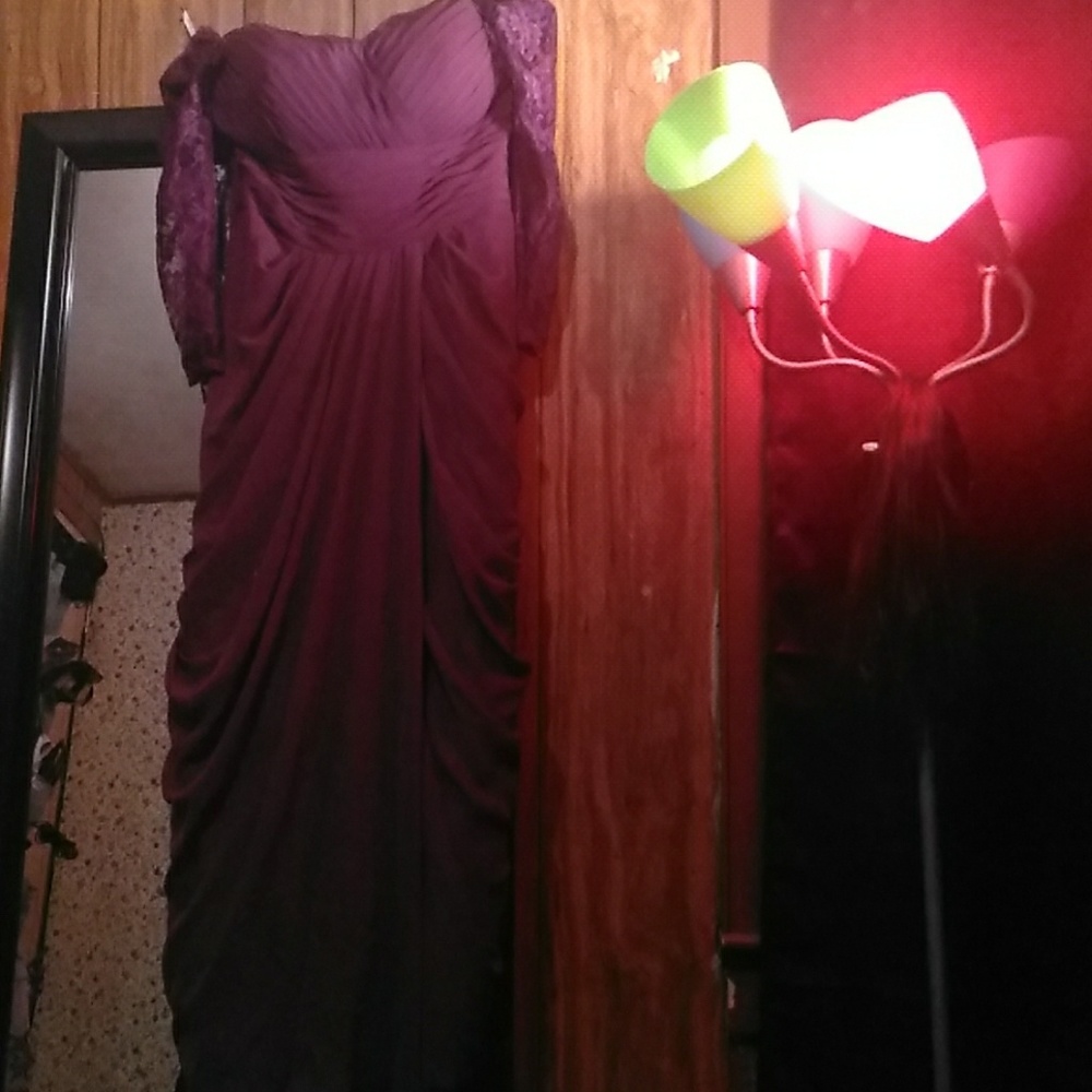 Long day or night egg plant dress